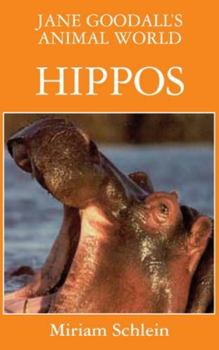 Hippos - Book  of the Jane Goodall's Animal World