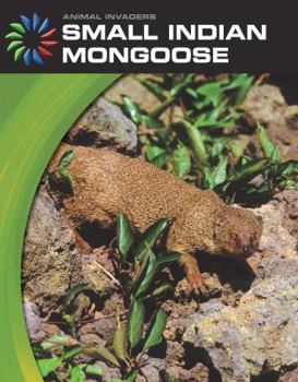 Small Indian Mongoose - Book  of the Animal Invaders
