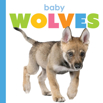 Paperback Baby Wolves Book