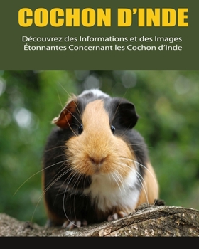 Paperback Cochon d'Inde: Découvrez des Informations et des Images Étonnantes Concernant les Cochon d'Inde [French] [Large Print] Book