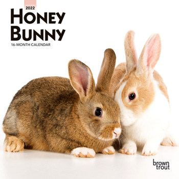 Honey Bunny 2022 7 x 7 Inch Monthly Mini Wall Calendar, Domestic Small Cute Animals