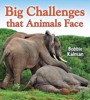 Paperback Big Challenges That Animals Face Book