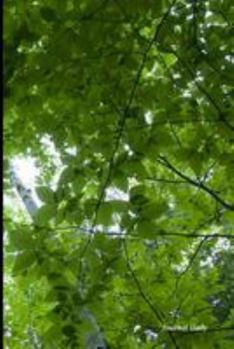 Journal Daily : Green Tree Forest ,Lined Blank Journal Book, 6 X 9, 200 Pages