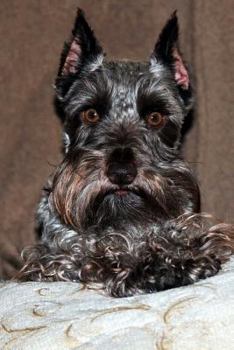 Paperback Schnauzer Notebook Book