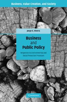 Business and Public Policy: Responses to Environmental and Social Protection Processes - Book  of the Business, Value Creation, and Society