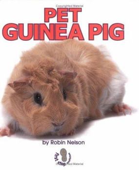 Pet Guinea Pig - Book  of the Classroom Pets