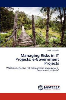 Paperback Managing Risks in It Projects: E-Government Projects Book