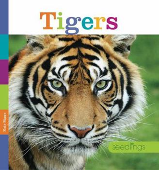 Tigers - Book  of the Seedlings