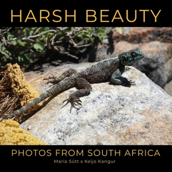 Paperback Harsh Beauty: Photos from South Africa Book