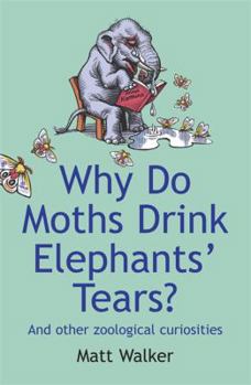Paperback Why Do Moths Drink Elephants' Tears?: And Other Zoological Curiosities. Matt Walker Book