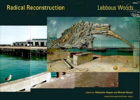 Hardcover Radical Reconstruction Book