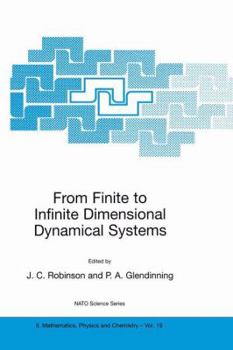 Paperback From Finite to Infinite Dimensional Dynamical Systems Book