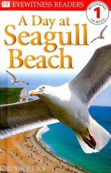 Hardcover A Day at Seagull Beach Book