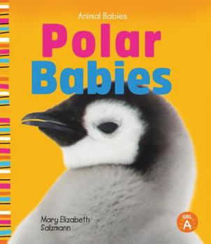 Library Binding Polar Babies Book