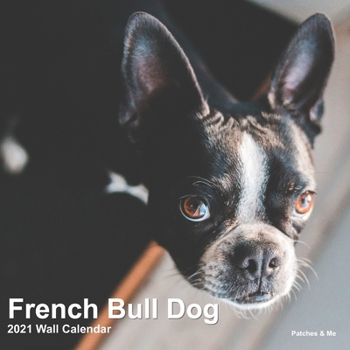 Paperback French Bulldog: 2021 Mini Wall Calendar Book