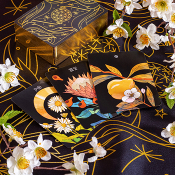 Hardcover Botanica: The Tarot Deck about the Language of Flowers Book