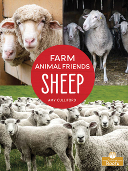 Paperback Sheep Book