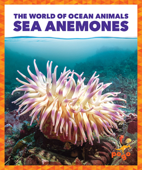 Paperback Sea Anemones Book