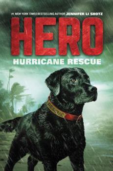 Hardcover Hurricane Rescue (Hero, 2) Book