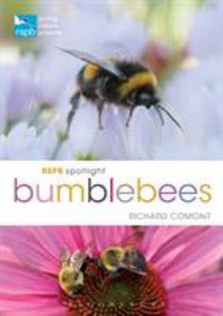 Paperback RSPB Spotlight Bumblebees Book