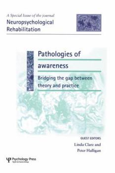 Pathologies of Awareness: Bridging the Gap between Theory and Practice: A Special Issue of Neuropsychological Rehabilitation