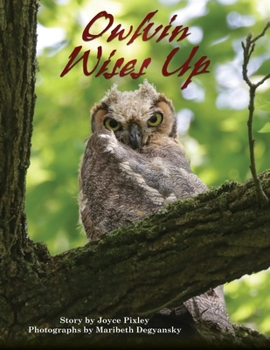Paperback Owlvin Wises Up Book