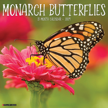 Calendar Monarch Butterflies 2024 12 X 12 Wall Calendar Book