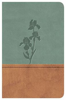 Imitation Leather Santa Biblia-Rvr 1977 [Spanish] Book