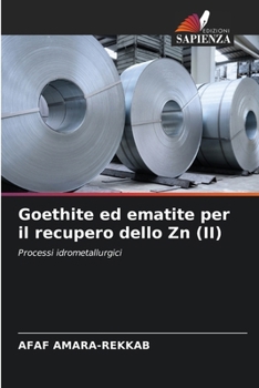 Paperback Goethite ed ematite per il recupero dello Zn (II) [Italian] Book