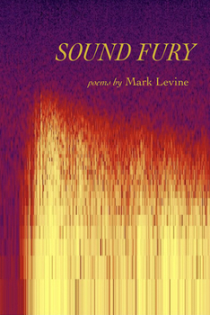 Paperback Sound Fury: Poems Book