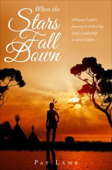 Paperback When the Stars Fall Down Book