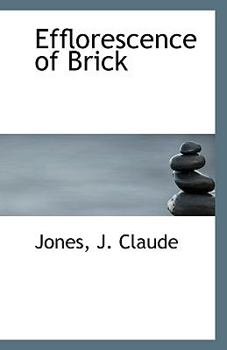 Paperback Efflorescence of Brick Book