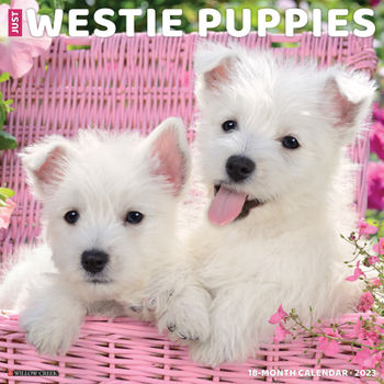 Calendar Just Westie Puppies 2023 Wall Calendar Book