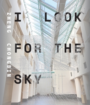 Paperback Zheng Chongbin: I Look for the Sky Book