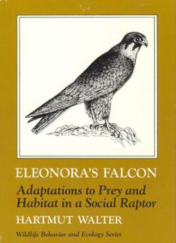 Hardcover Eleonora's Falcon: Adaptations to Prey and Habitat in a Social Raptor Book