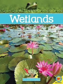 Wetlands - Book  of the Biomes