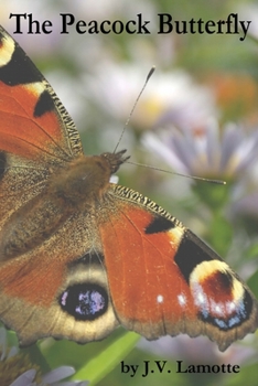 Paperback The Peacock Butterfly Book