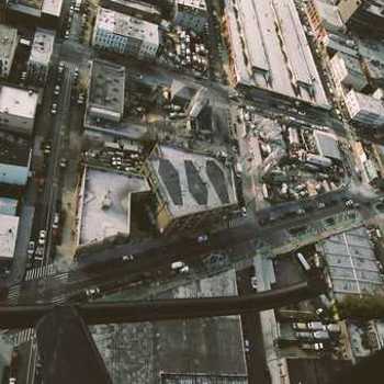 Vinyl Dog Whistle (LP) Book