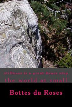 Paperback stillness is a great dance step: The world at Small Book