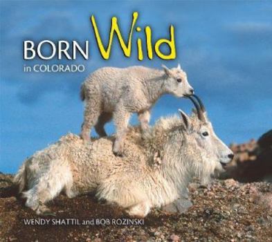 Paperback Born Wild in Colorado Book