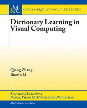 Paperback Dictionary Learning in Visual Computing Book