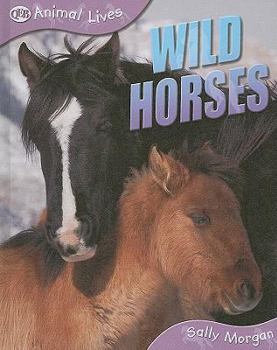 Library Binding Wild Horses Book