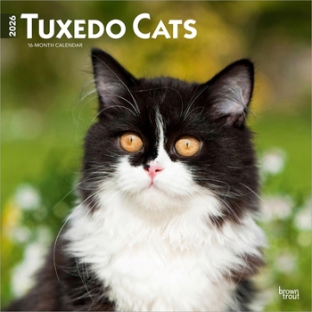 Calendar Tuxedo Cats 2026 12 X 24 Inch (Hanging) Monthly Square Wall Calendar Plastic-Free Book