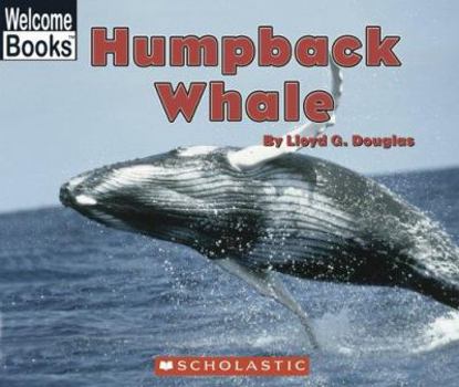 Humpback Whale (Welcome Books) - Book  of the Welcome Books: Ocean Life