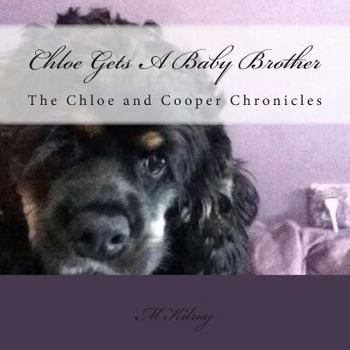 Paperback Chloe Gets A New Brother Book