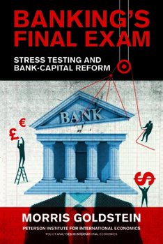 Paperback Banking's Final Exam: Stress Testing and Bank-Capital Reform Book