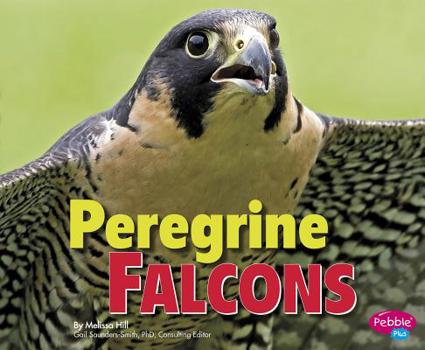 Hardcover Peregrine Falcons Book