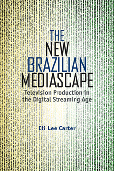 Hardcover The New Brazilian Mediascape: Television Production in the Digital Streaming Age Book