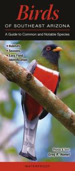 Pamphlet Birds of Southeast Arizona: A Guide to Common & Notable Species Book