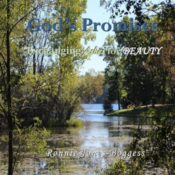 Paperback God's Promises: exchanging ashes for beauty Book
